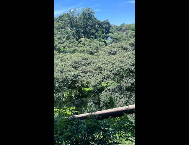 1 BEDROOM PROPERTY TO RENT IN BEREA WEST